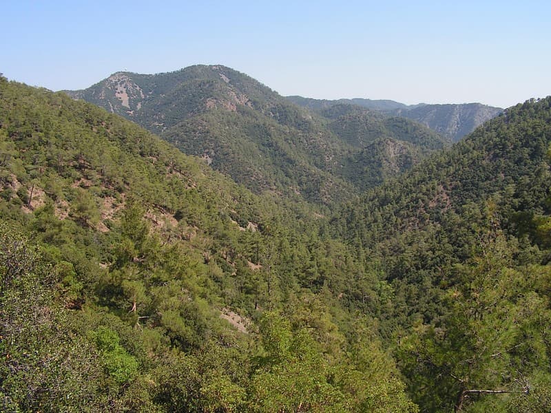 Églises peintes de la région de Troodos