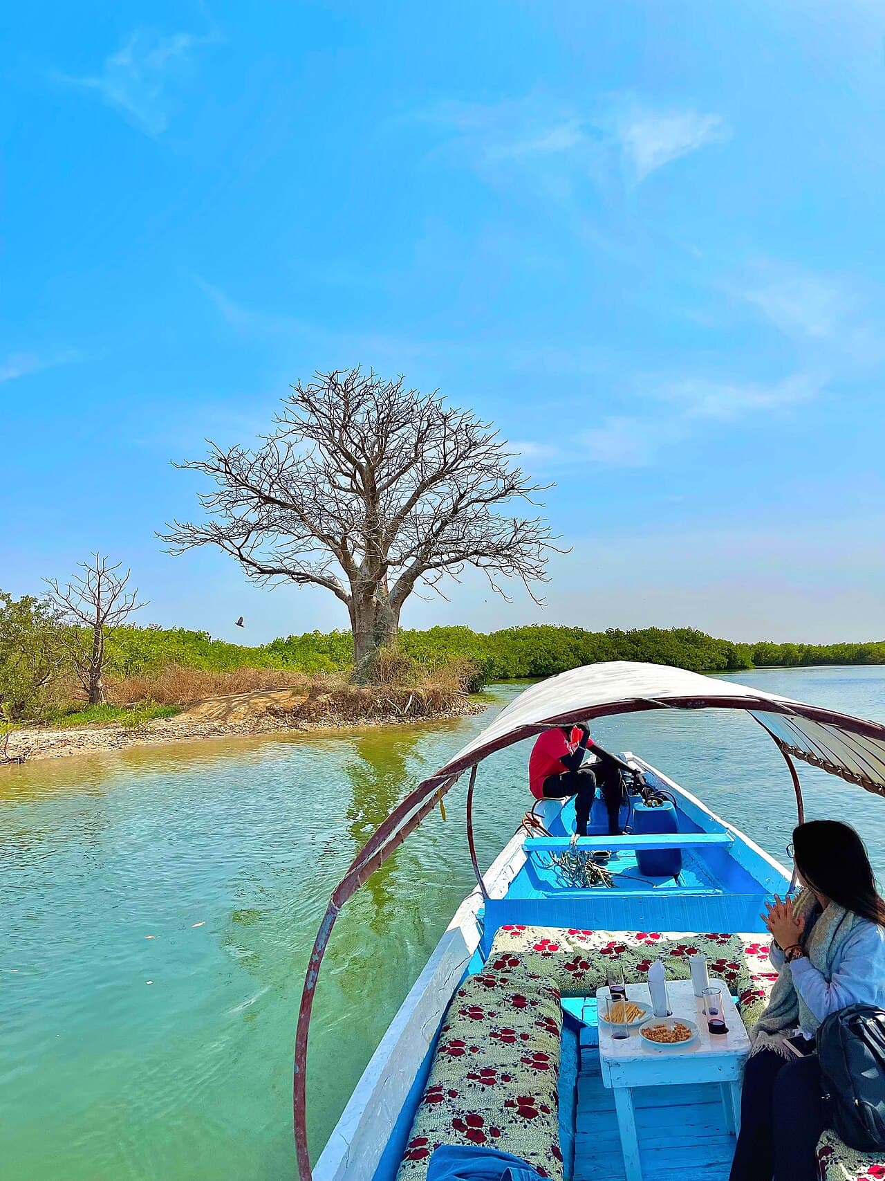 Delta du Saloum