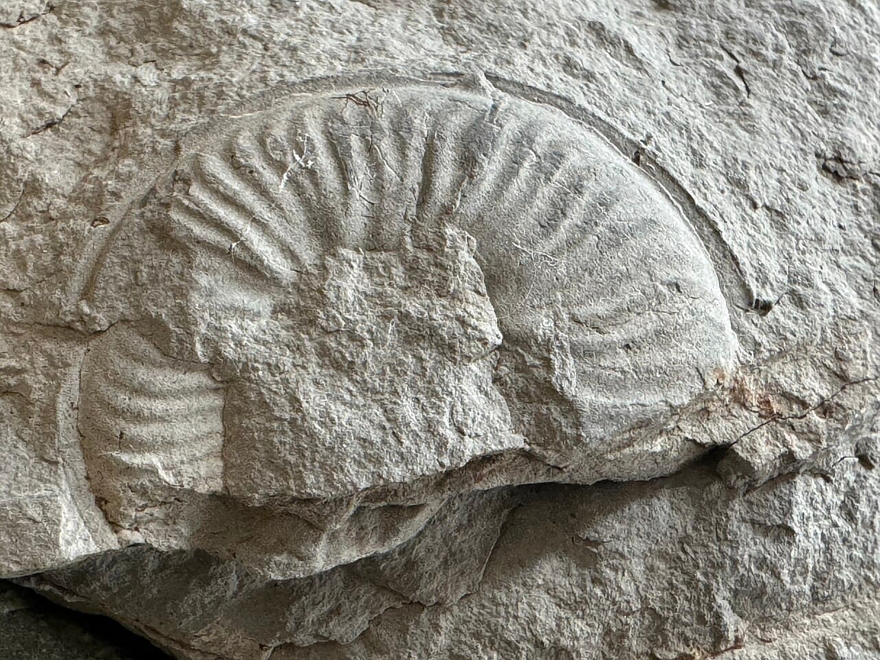 Anticosti