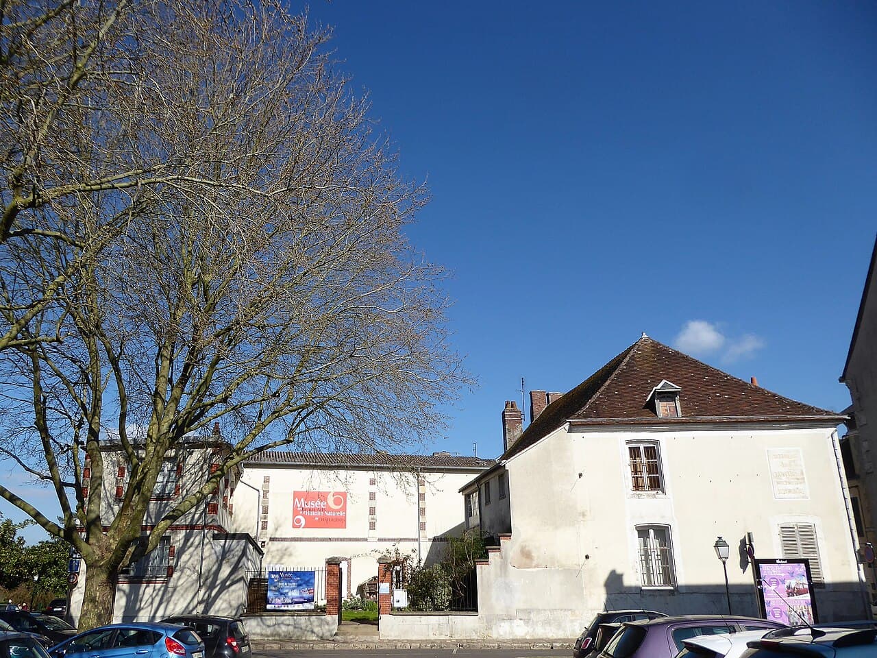 Musée des beaux-arts et d'histoire naturelle de Châteaudun