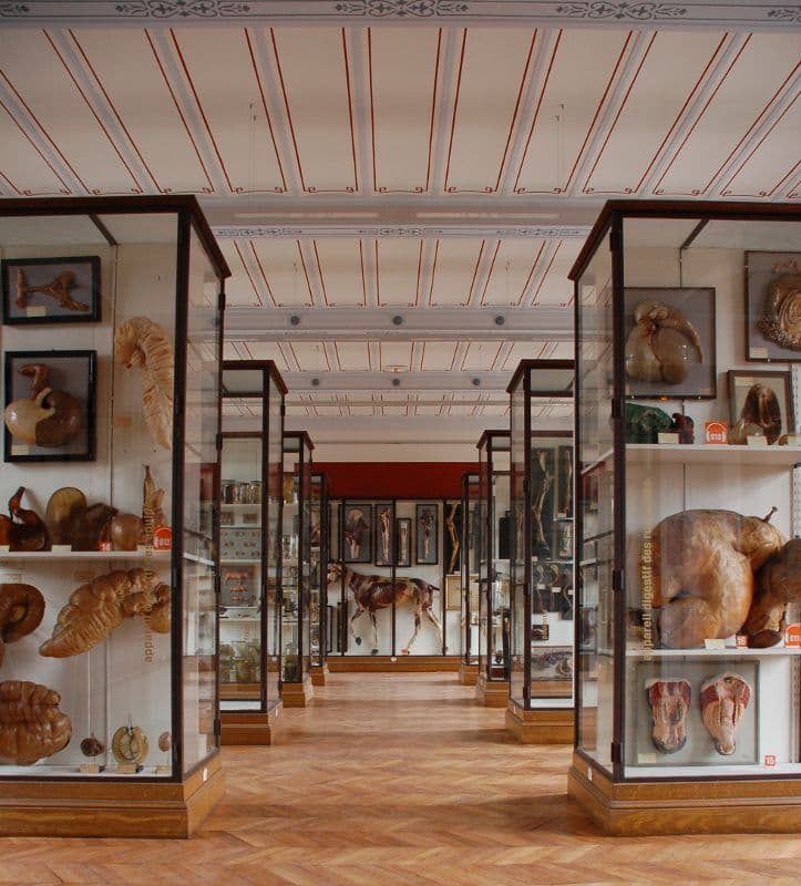 Musée Fragonard