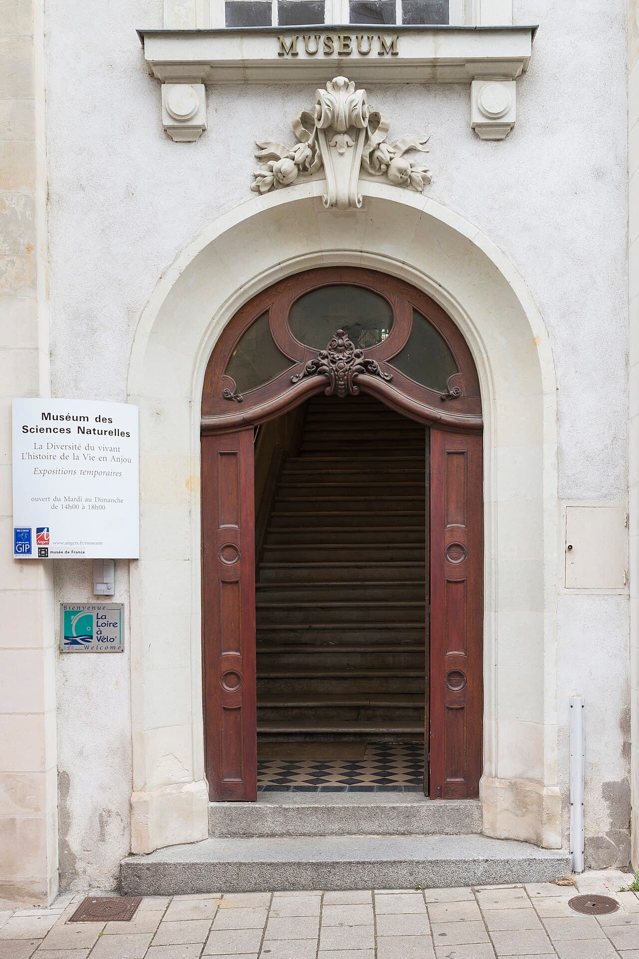 Muséum des sciences naturelles