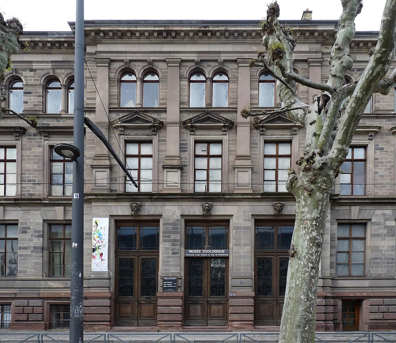 Musée zoologique de l'université Louis Pasteur et de la ville de Strasbourg