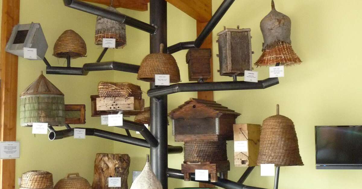Écomusée de l’abeille