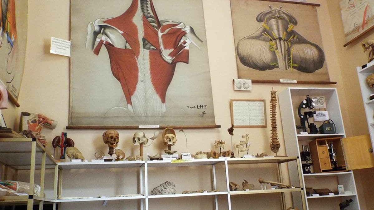 Musée de la Chirurgie Pr. Christian Cabrol