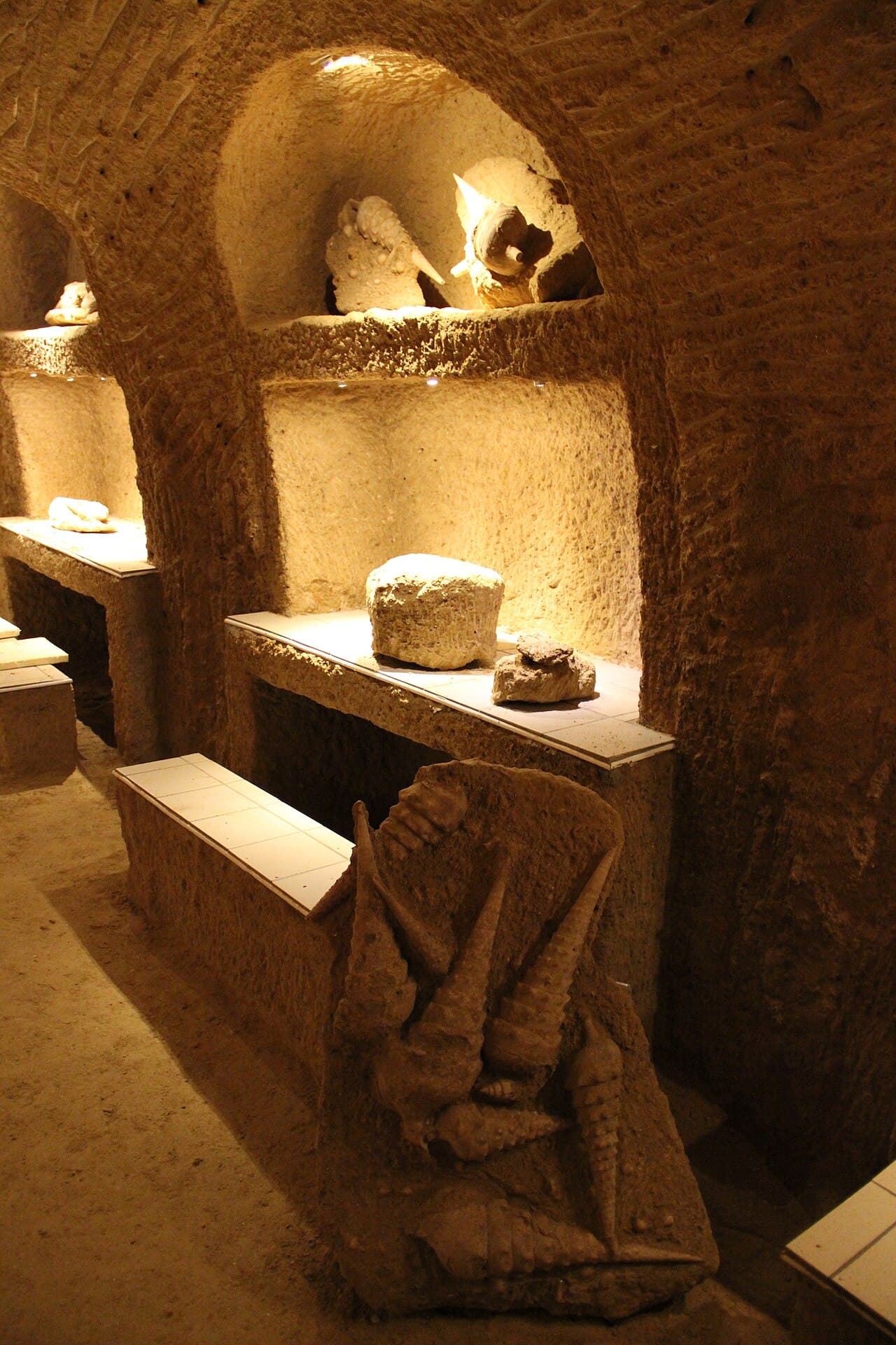 La Cave aux Coquillages