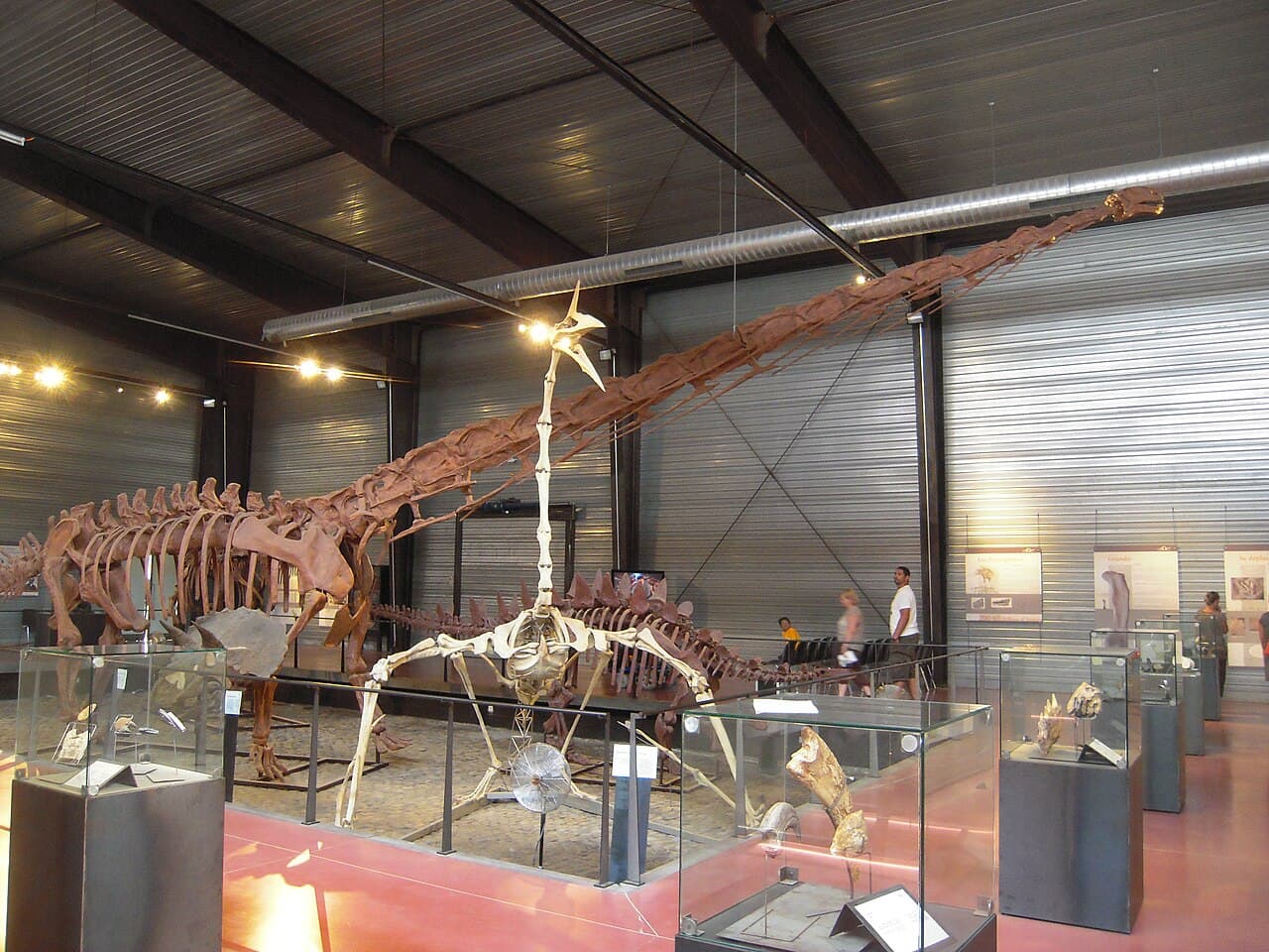 Musée des Dinosaures d'Espéraza
