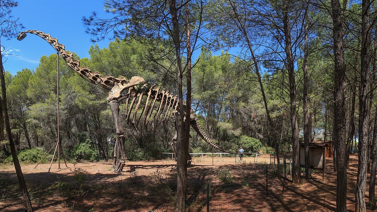 Musée des Dinosaures