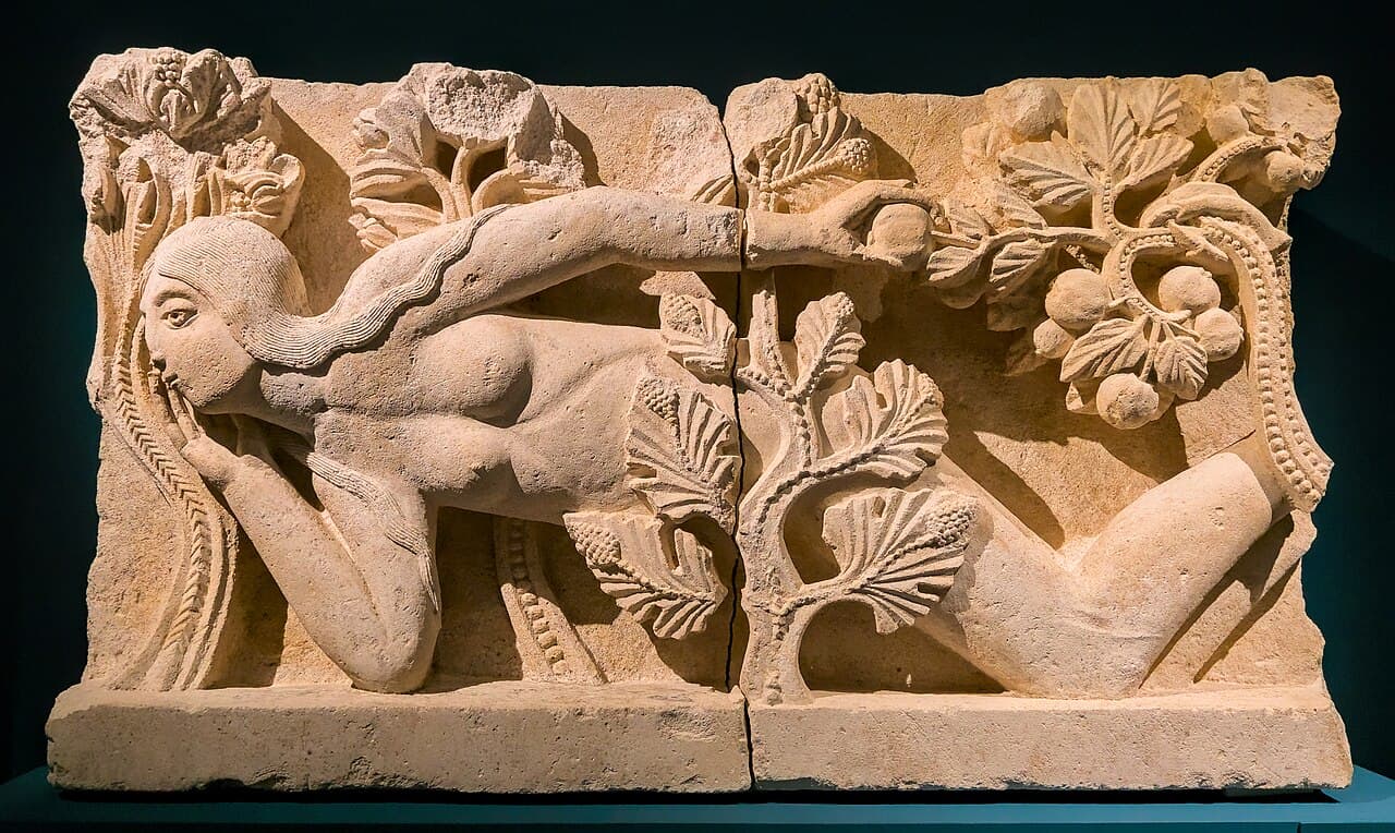Muséum d'histoire naturelle d'Autun