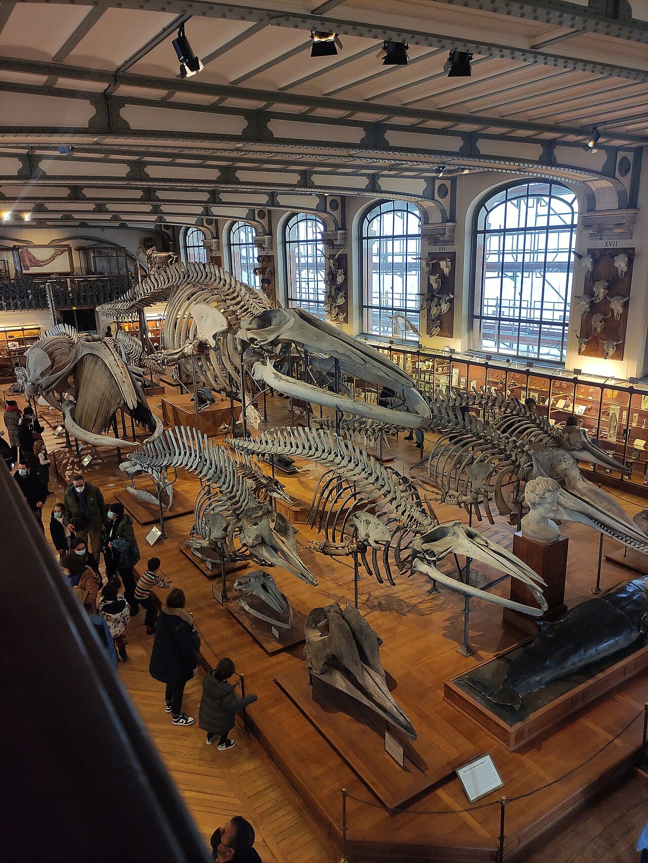 Muséum national d'Histoire naturelle