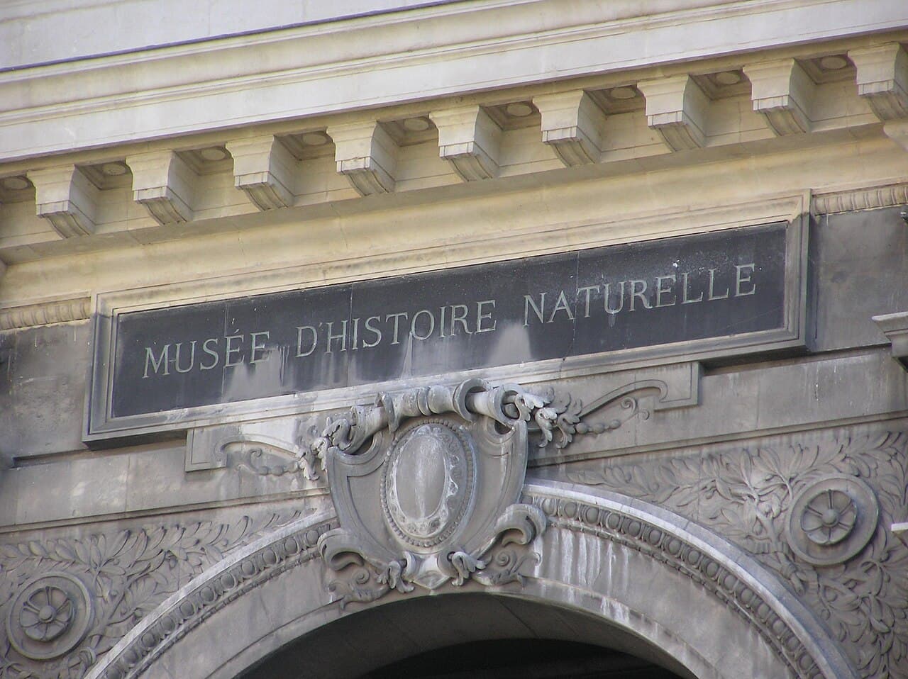 Muséum d'histoire naturelle de la Ville de Marseille
