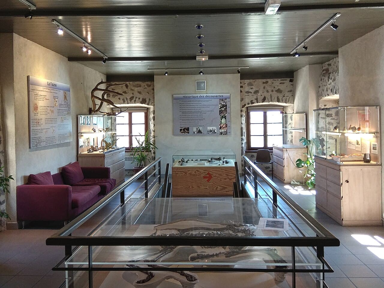 Musée de Paléontologie Christian Guth