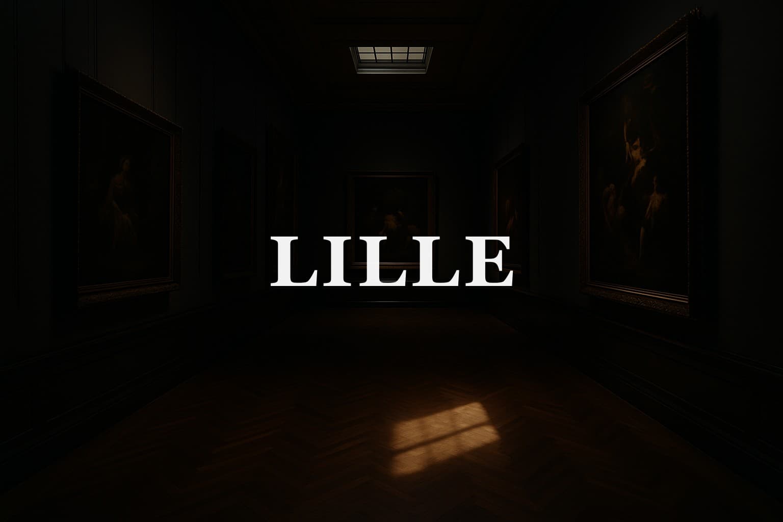 Les musées à ne pas manquer à Lille