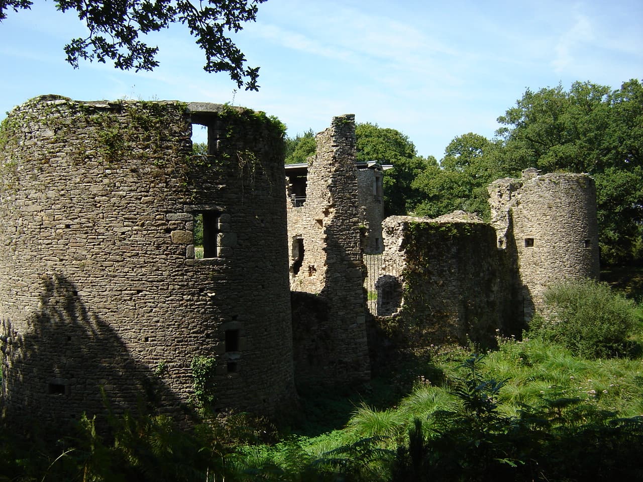 Château de Ranrouët