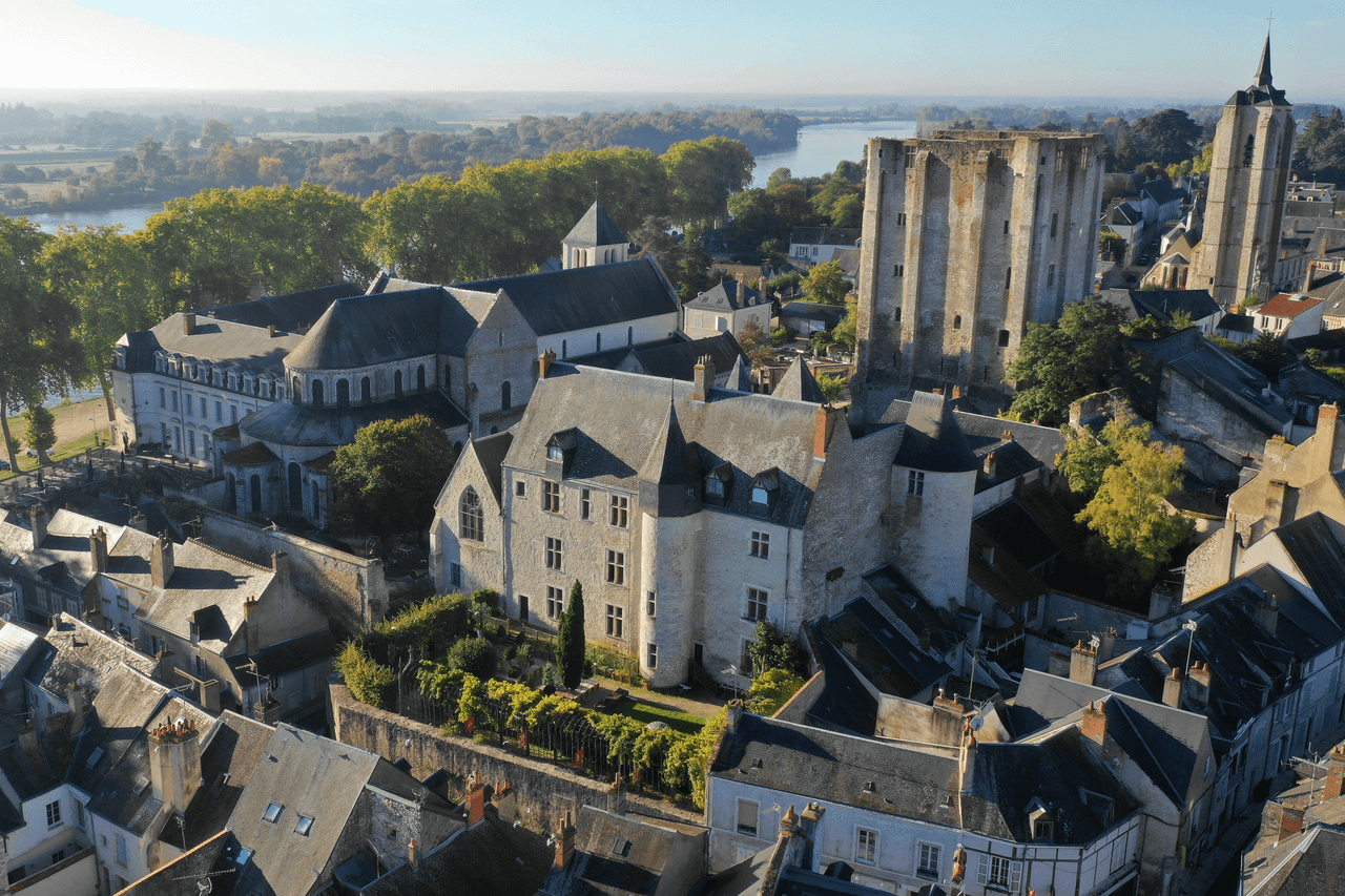 Château de Beaugency