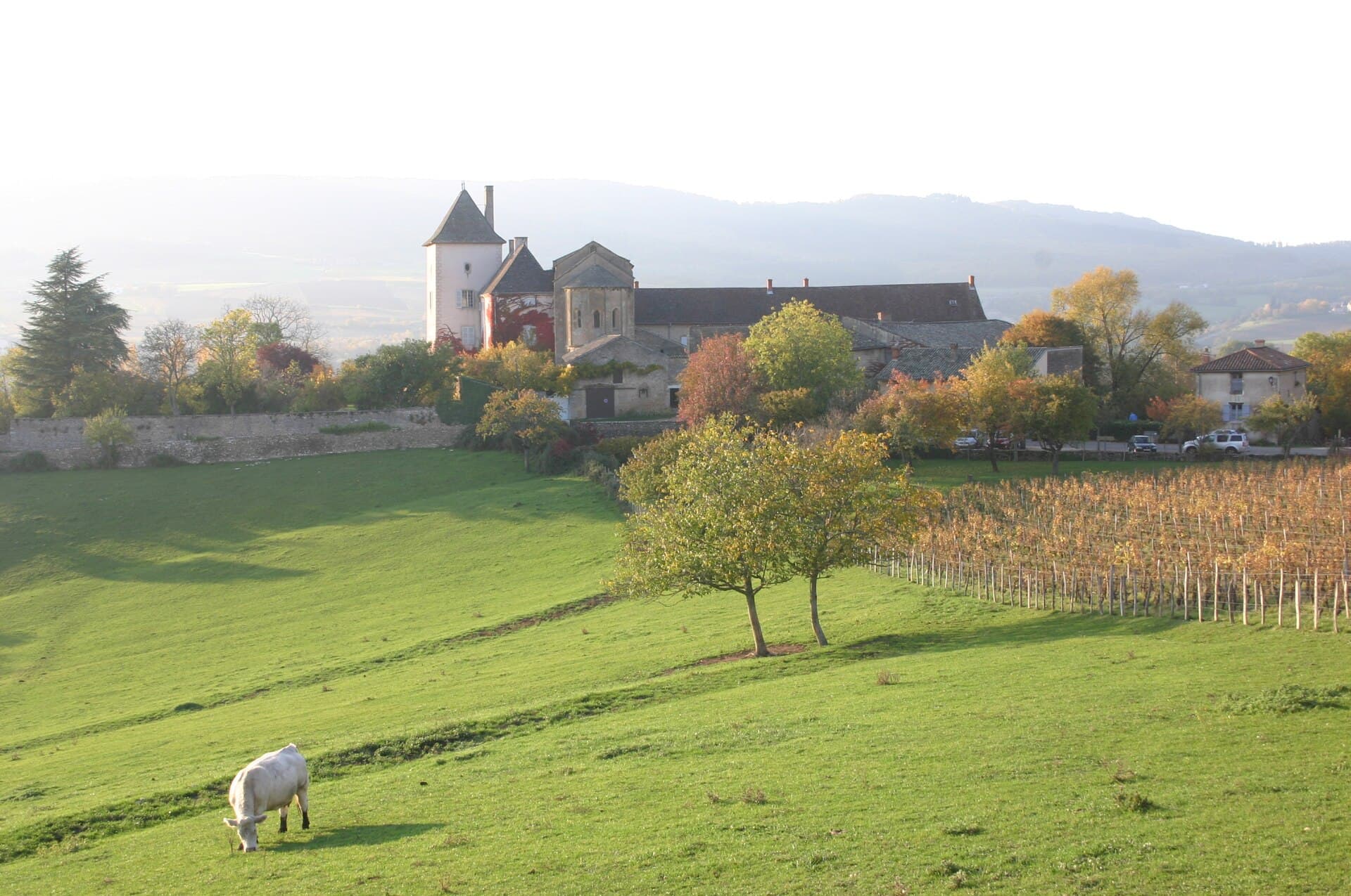 Chapelle des Moines de Berzé-la-Ville
