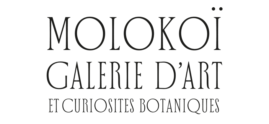 Molokoï