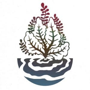 L'atelier Du Bain Aux Plantes
