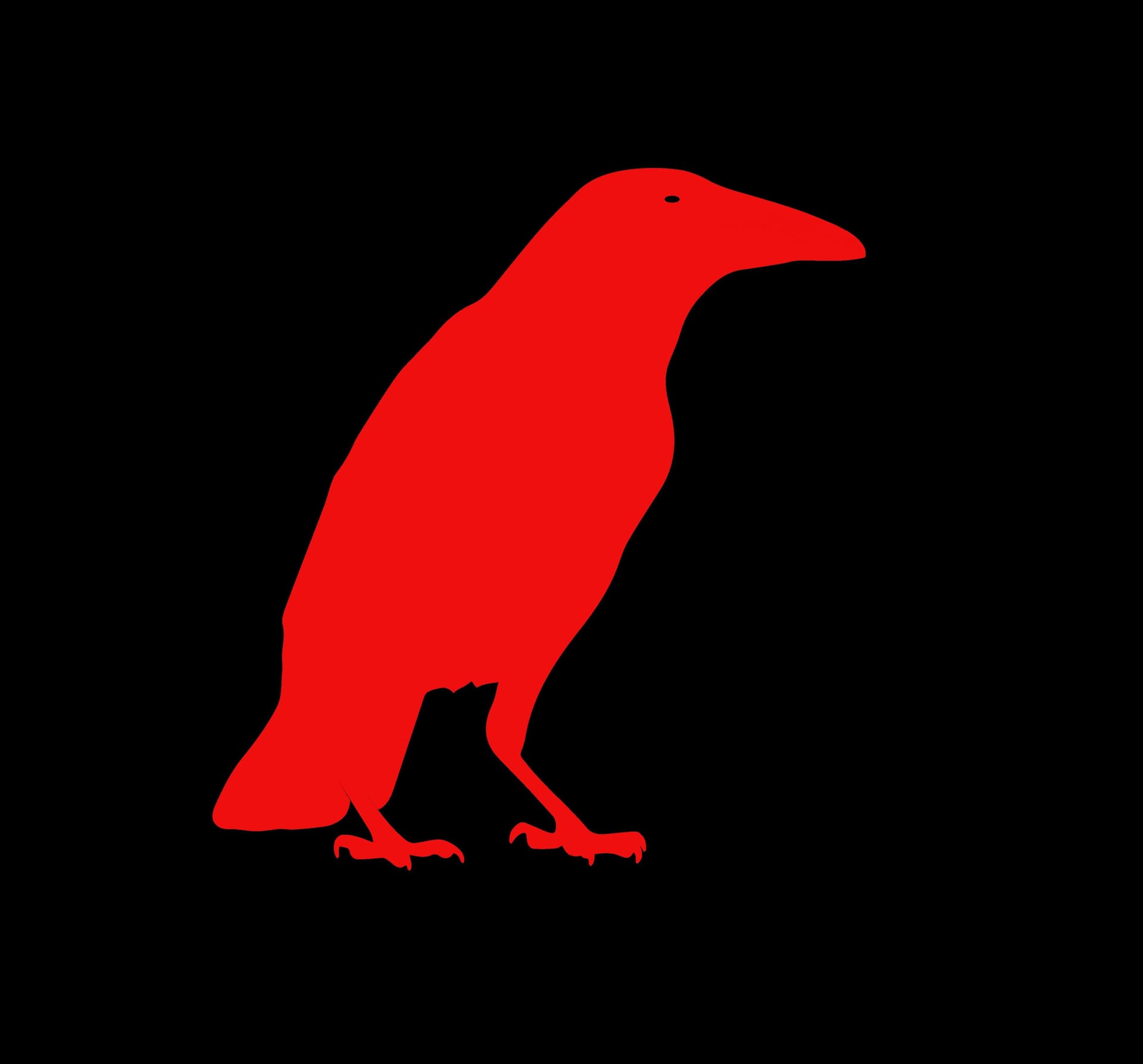 Corbeau Rouge, Galerie Julie Anne B.