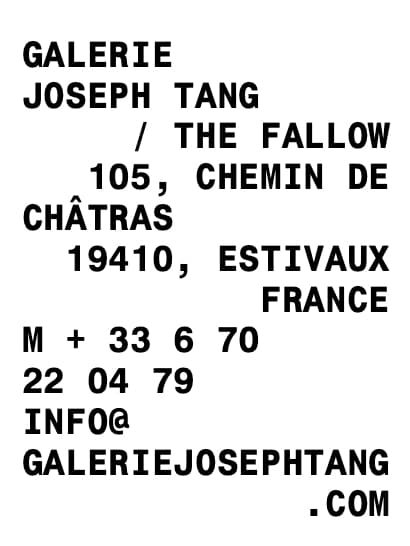 Galerie Joseph Tang / The Fallow