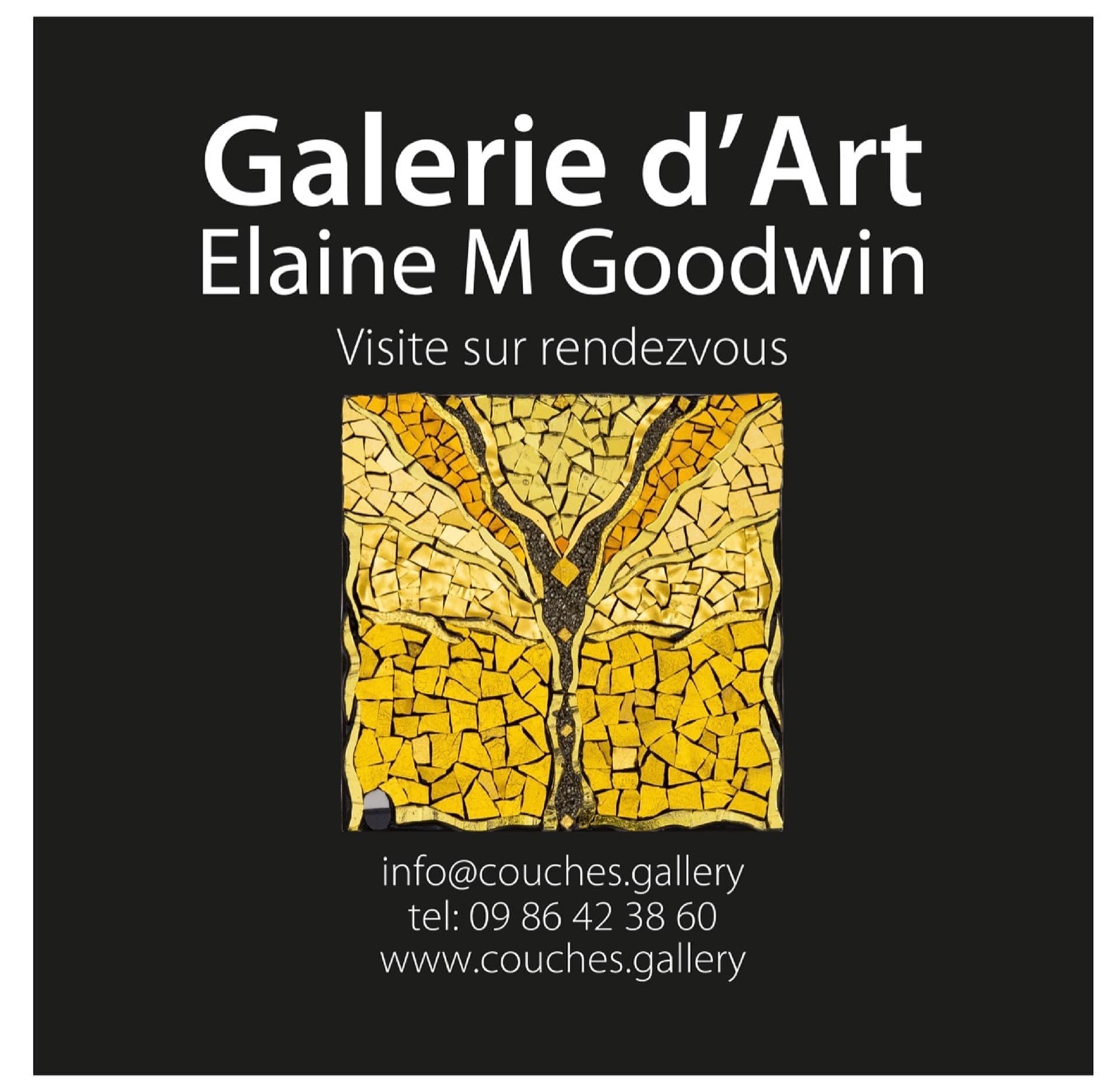 Galerie d'art Elaine M Goodwin