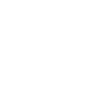 Galerie des Carmes