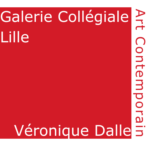 Galerie Collégiale-Lille