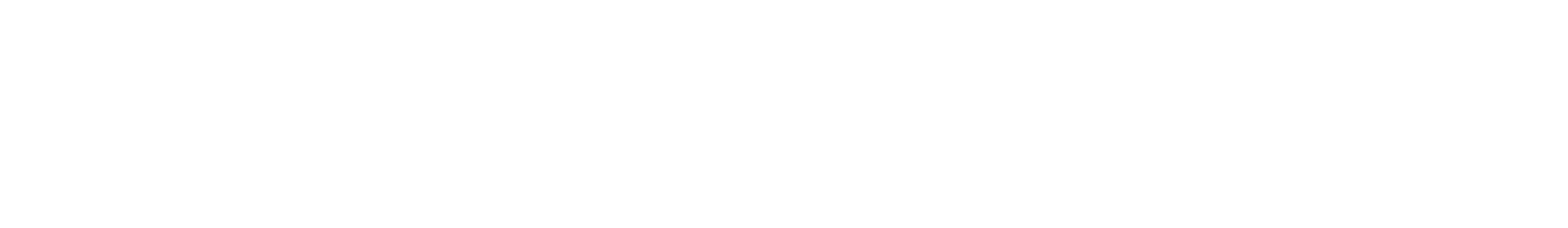 Pitout Foundation