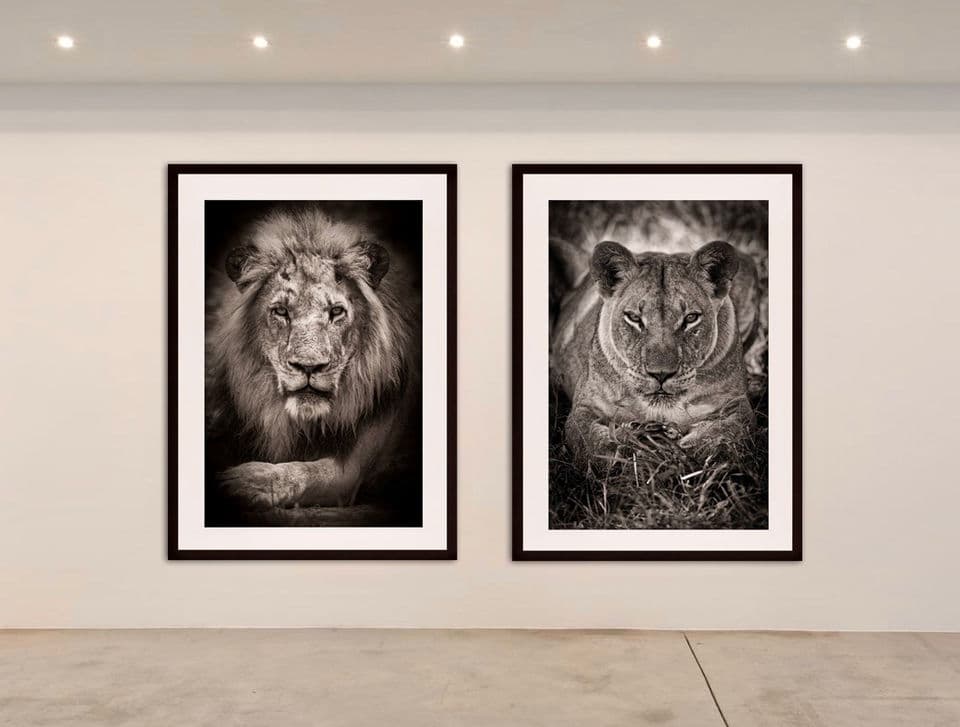 Orion Art Gallery