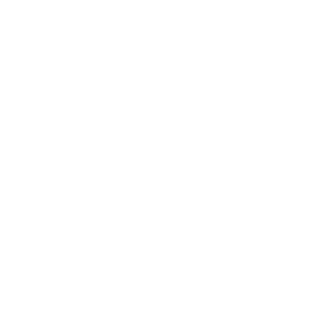 Le 101