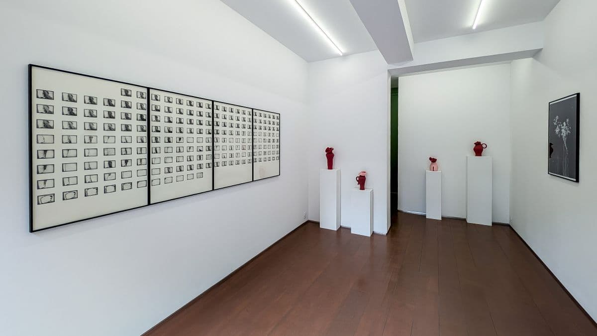 Galerie Vasistas