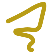 Paragone
