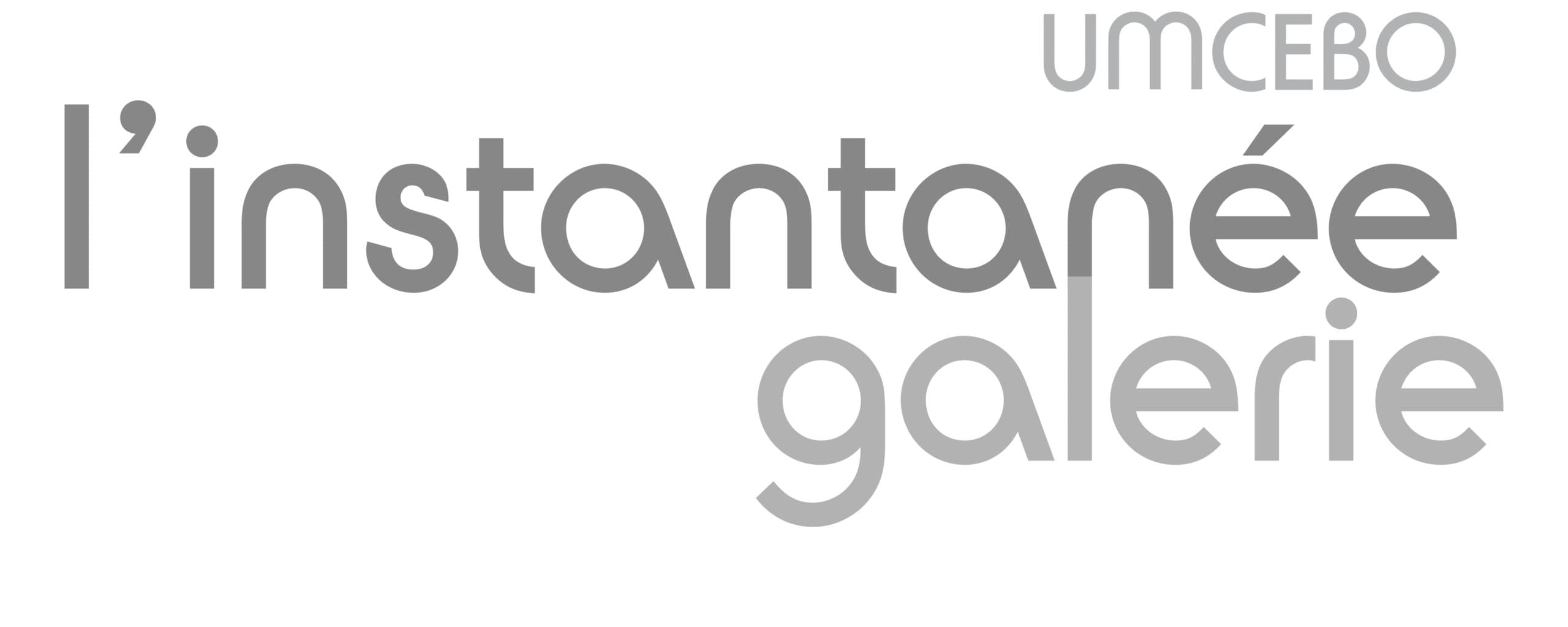 Galerie Umcebo