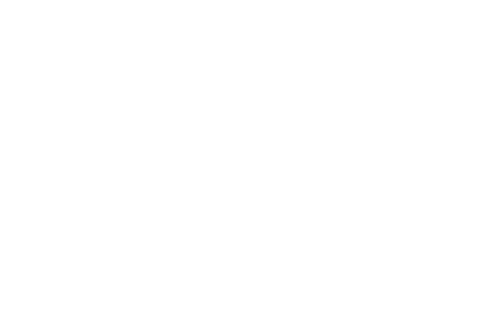 Galerie Conte Antiquités