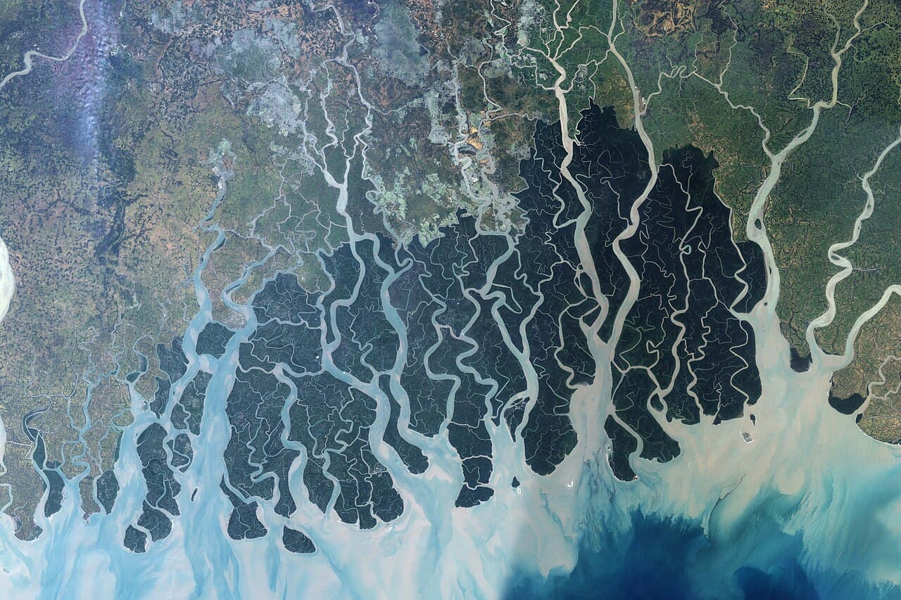 Les Sundarbans