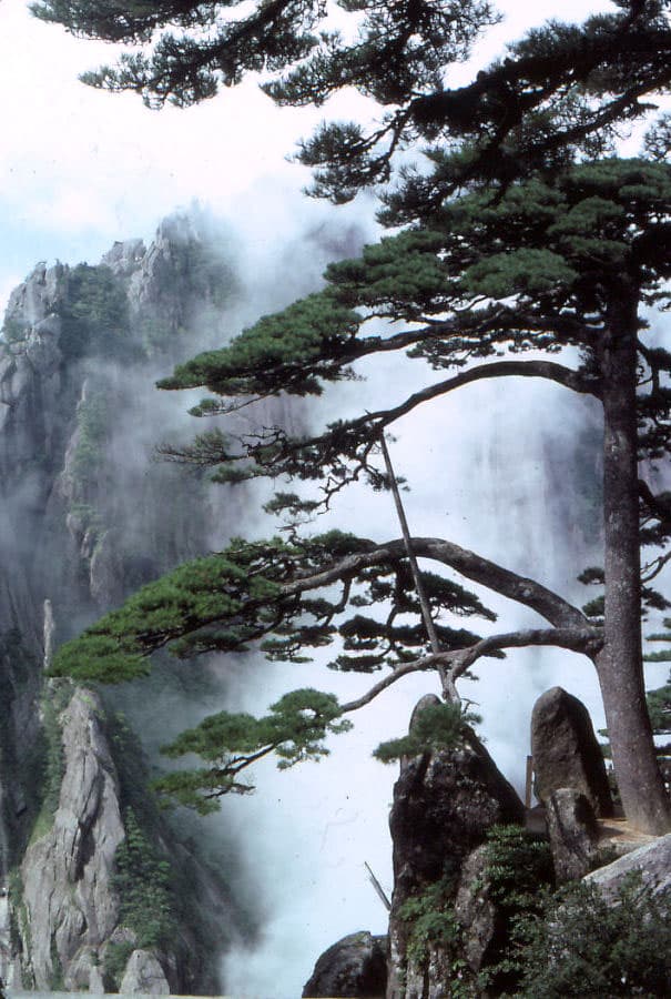 Mont Huangshan