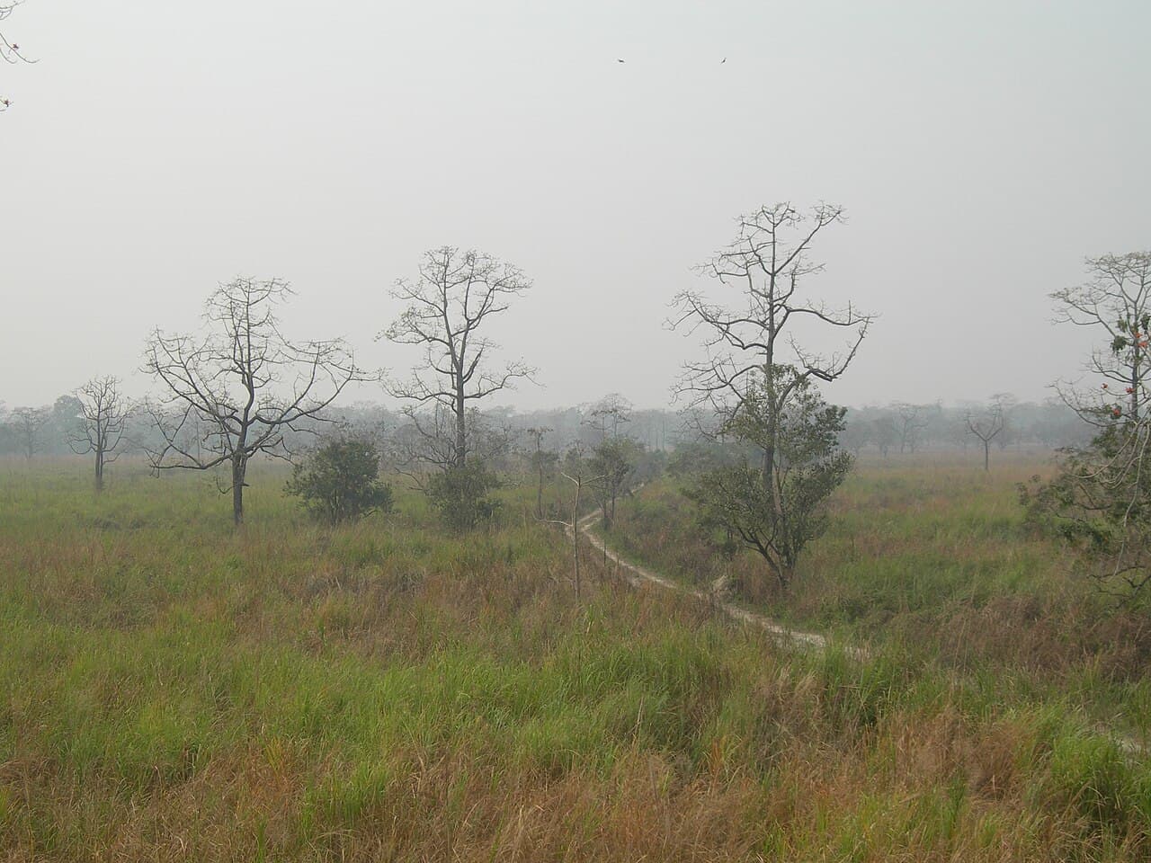 Sanctuaire de faune de Manas