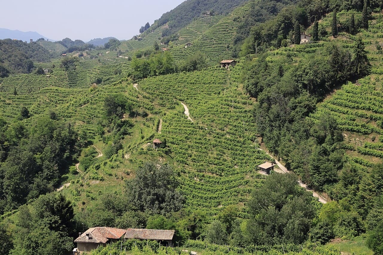 The Prosecco Hills of Conegliano and Valdobbiadene