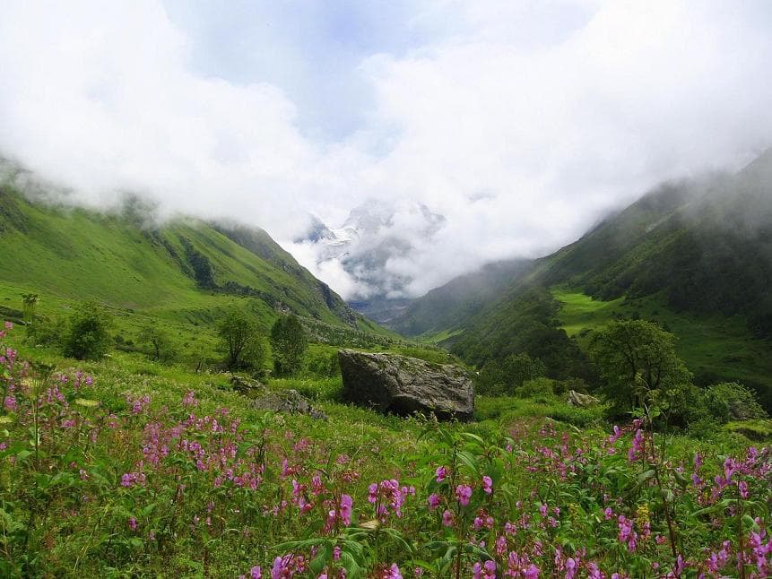 Parcs nationaux de Nanda Devi et de la Vallée des fleurs