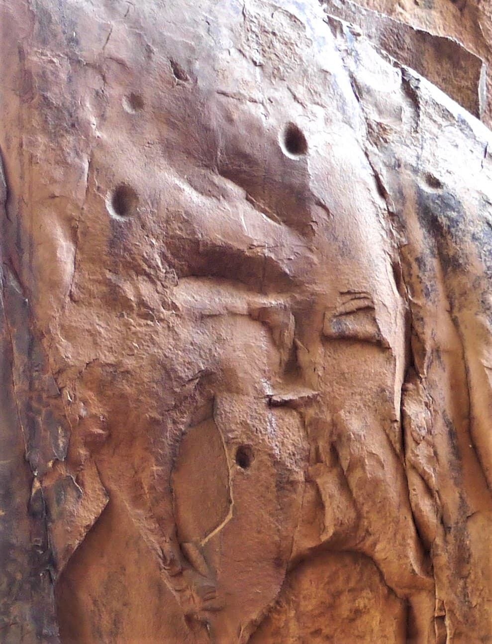 Abris sous-roche du Bhimbetka