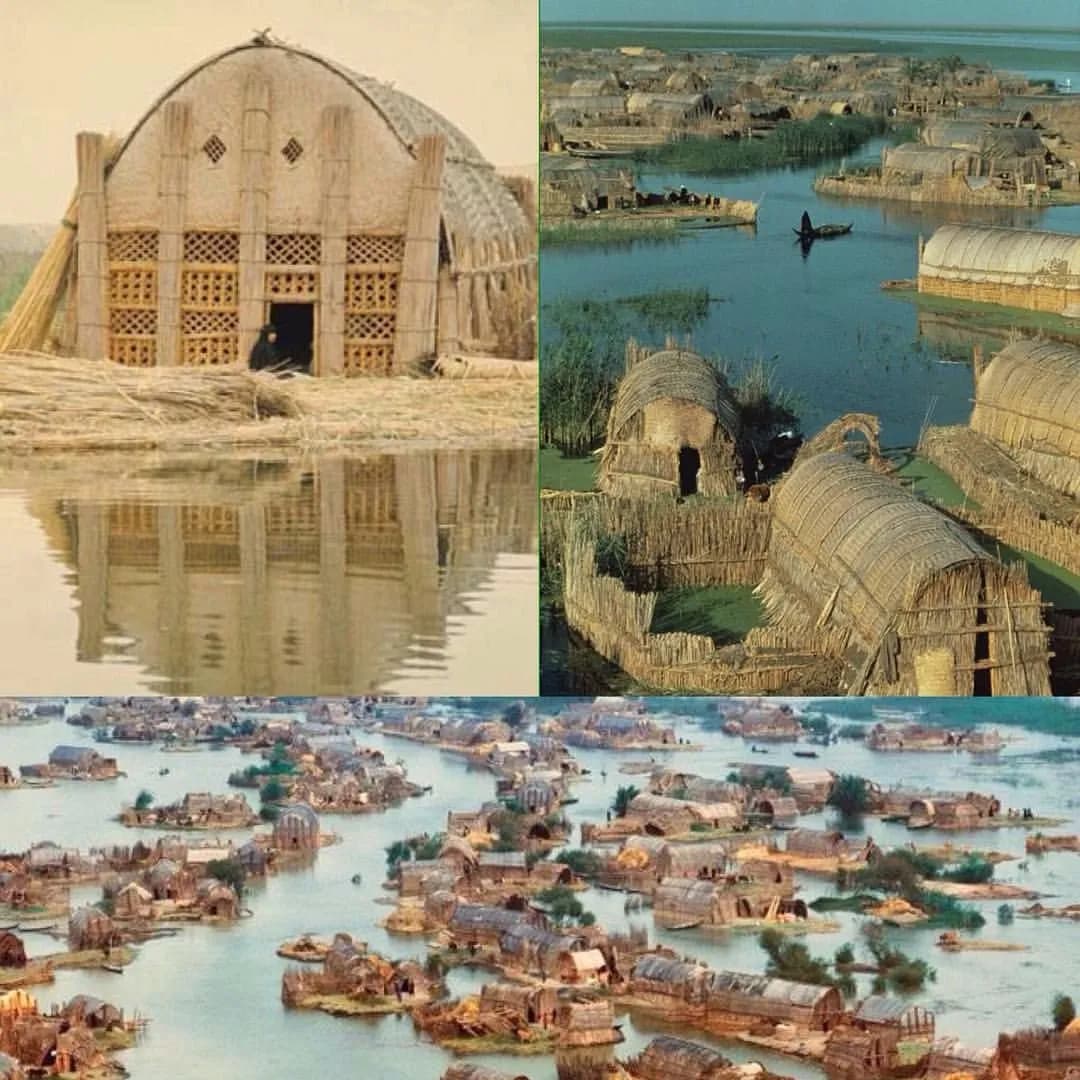 Les Ahwar du sud de l’Iraq : refuge de biodiversité et paysage relique des villes mésopotamiennes