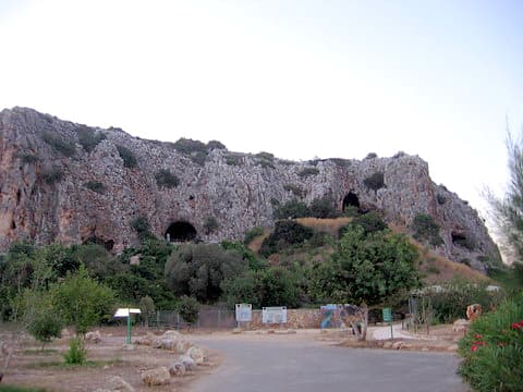 Sites de l’évolution humaine du mont Carmel : les grottes de Nahal Me’arot / Wadi el-Mughara