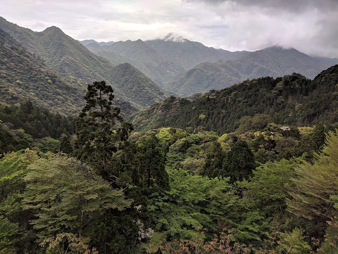 Yakushima