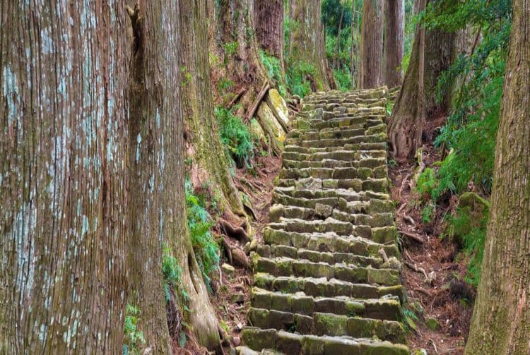 Sites sacrés et chemins de pèlerinage dans les monts Kii