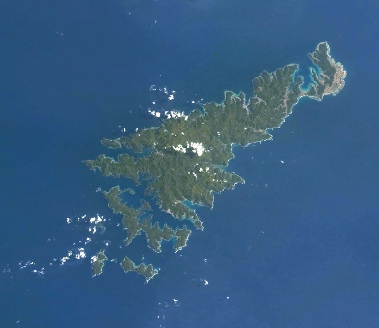 Île Amami-Oshima, île Tokunoshima, partie nord de l’île d’Okinawa et île d’Iriomote