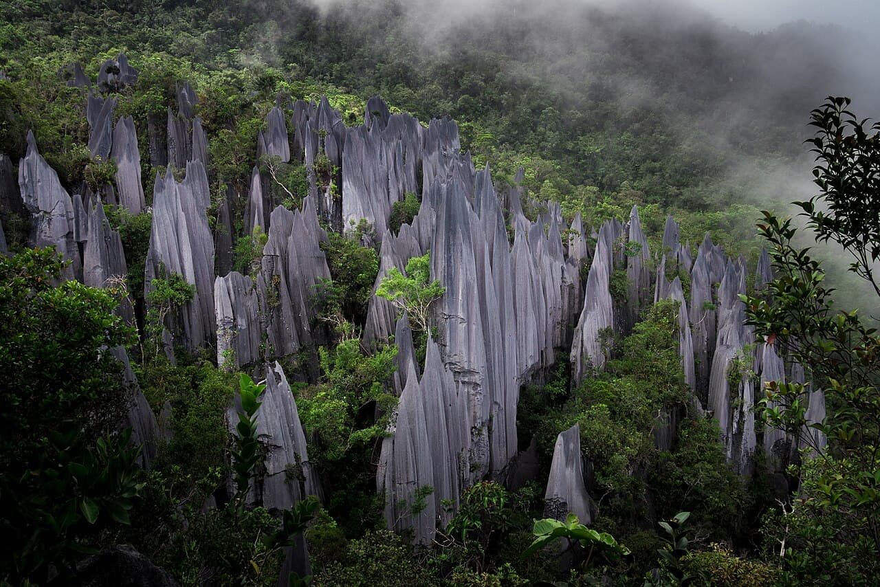 Parc national du Gunung Mulu
