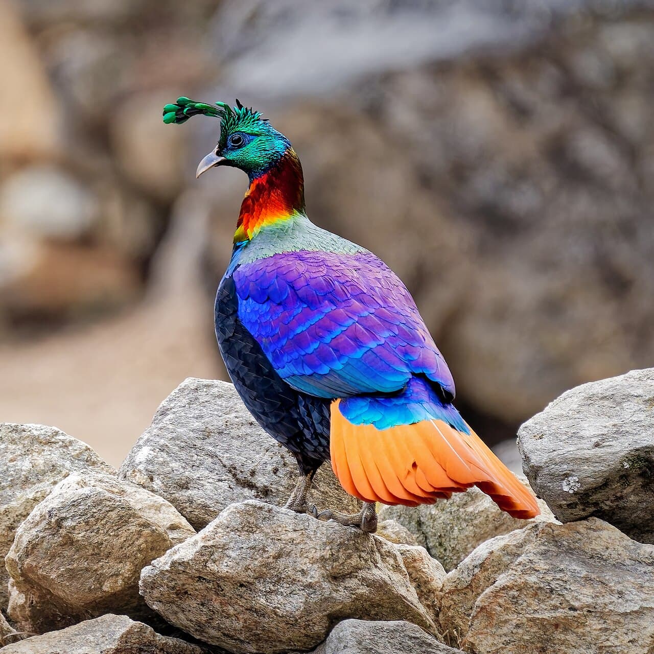 Parc national de Sagarmatha