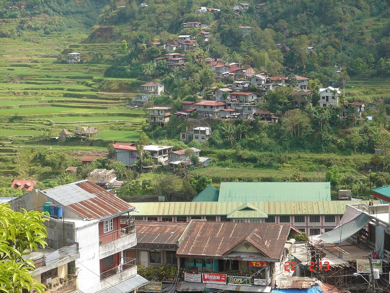 Rizières en terrasses des cordillères des Philippines