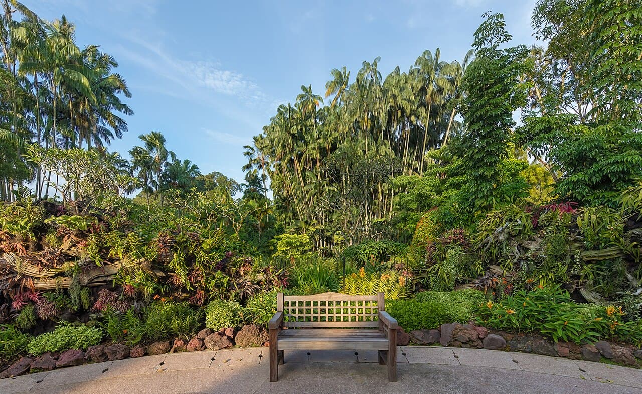 Jardins botaniques de Singapour