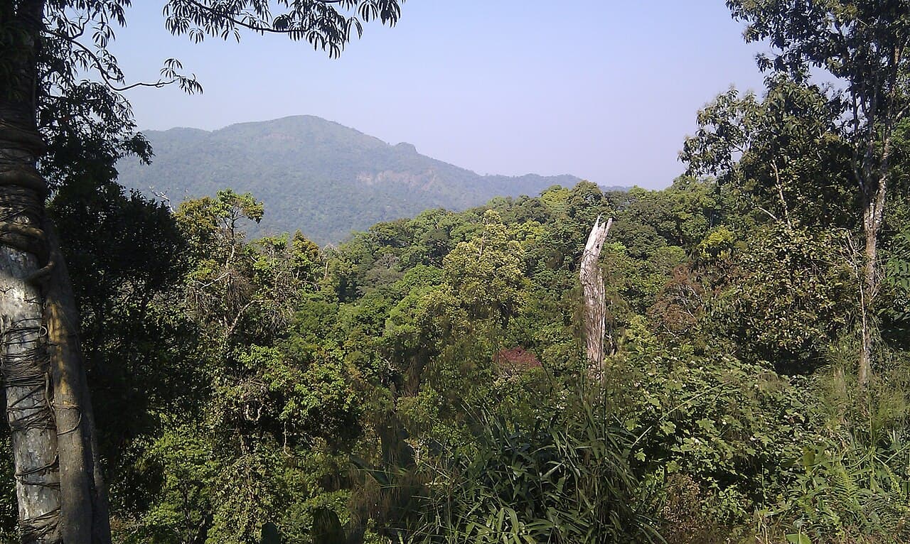Complexe des forêts de Kaeng Krachan